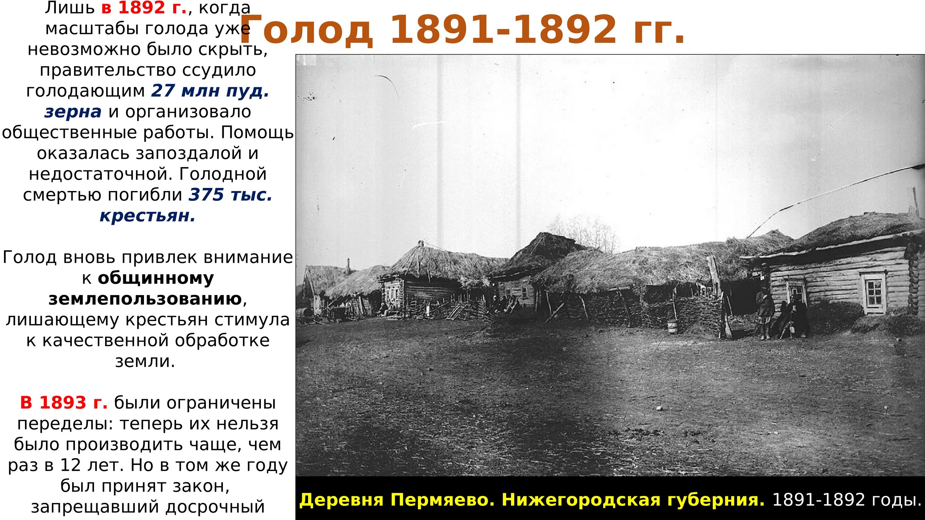 Нижегородская Губерния 19 век село. Голод Лукояновский уезд 1891. Голодный год в Нижегородской губернии 1891-1892.