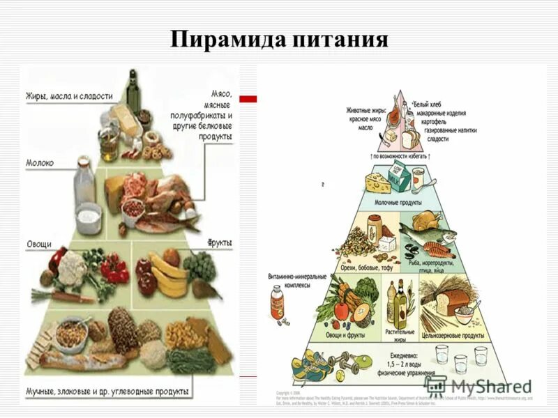 Укажите уровни пищевой пирамиды начиная с продуктов. Пирамида питания Гарвардского университета. Пирамида питания здорового человека Гарвардская. Пирамида питания Гарвардской школы. Пирамида питания воз 2023.