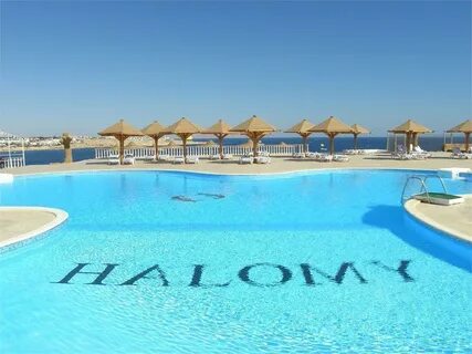 Grand halomy resort отзывы