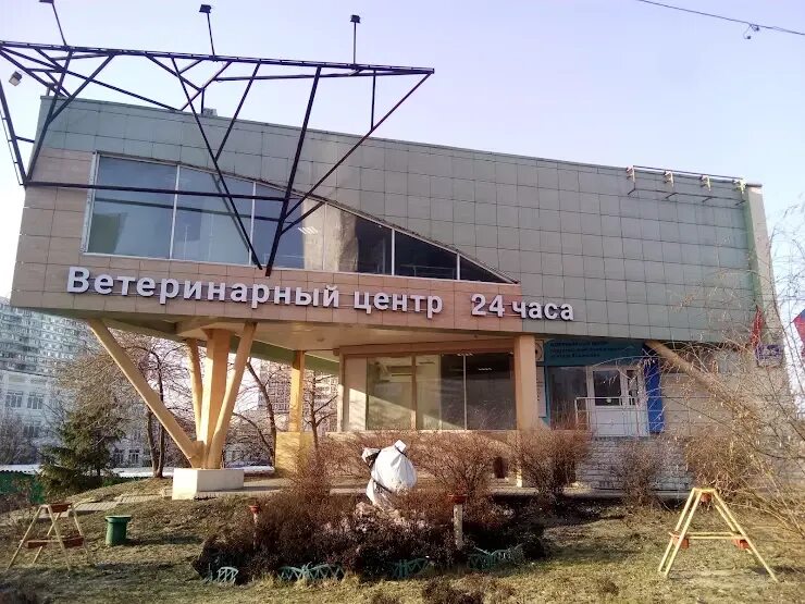 Ветенар. Ветеринарная лечебница. Собака медик. Животное в ветеринарной клинике. Ветеринария медицина.