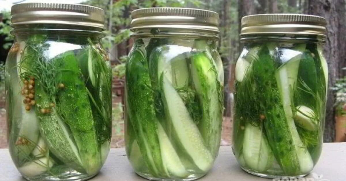 Малосольные огурцы в банке с чесноком и укропом. Малосольных огурцов в банке. Как приготовить малосольные огурчики в банке. Малосольные огурцы в банке. Малосольные огурцы быстрого приготовления.