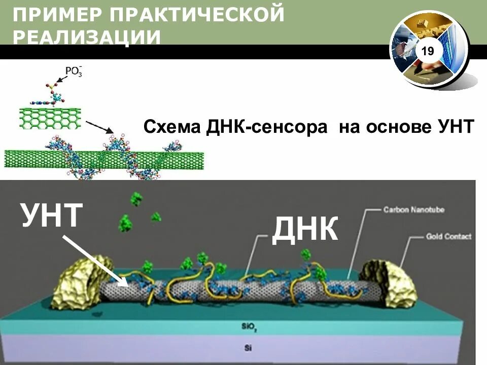 Пример практической реализации. ДНК сенсоры. Биосенсорные методы. ДНК-микрочип. Жесткий диск на основе ДНК.