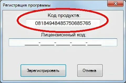 Прописать код кнопки