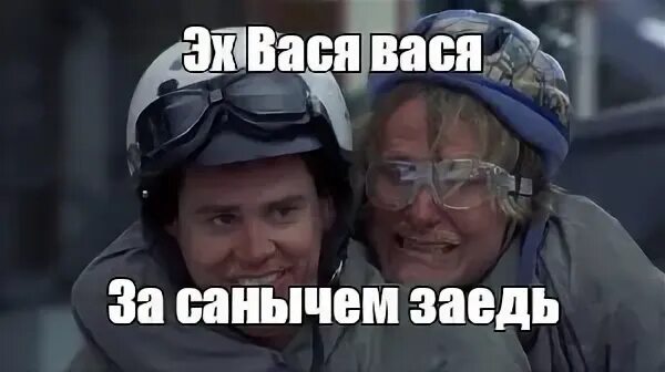 Заедь