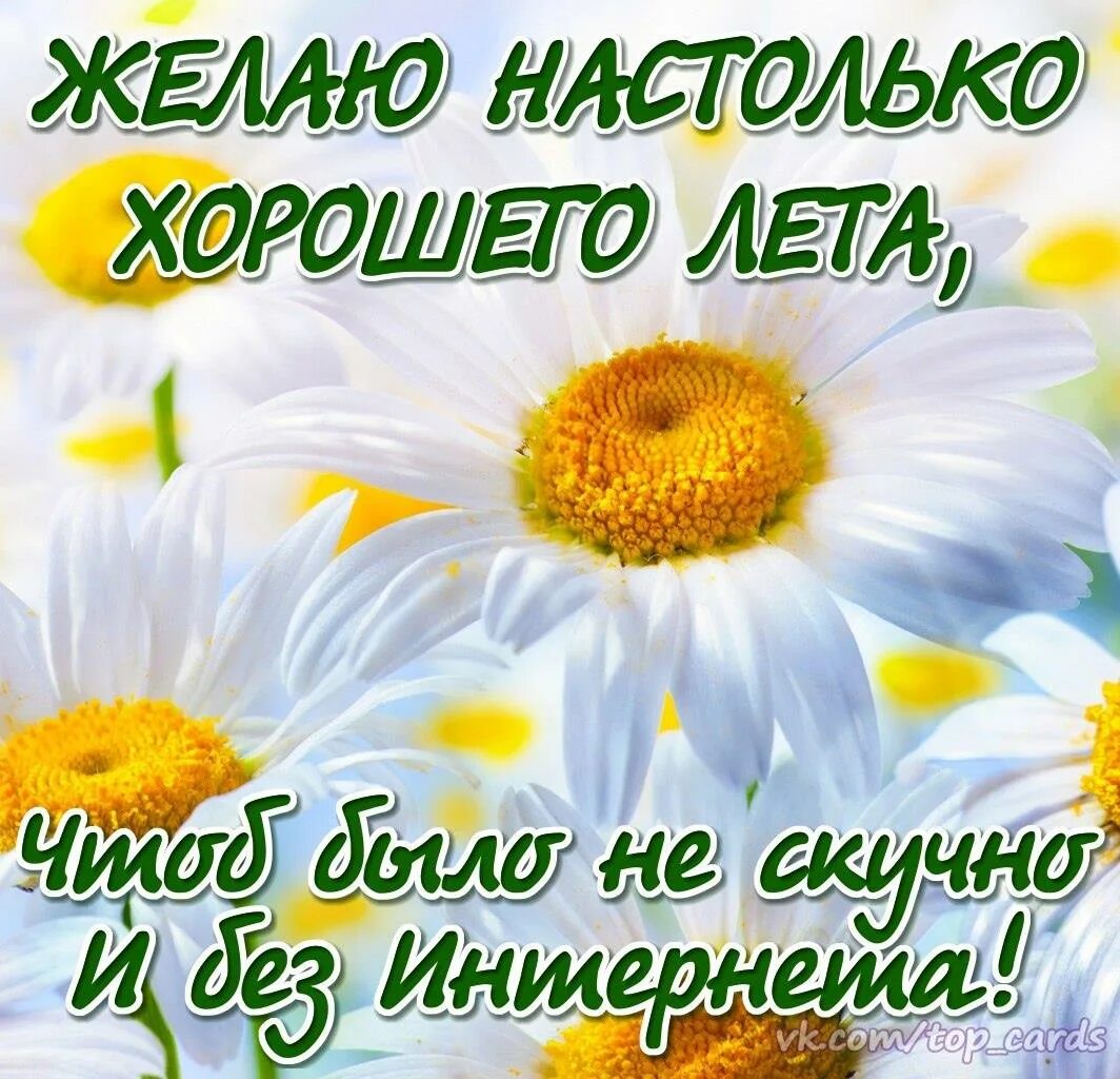 Картинки с первым утром. Счастливого лета пожелания. Открытки хорошего лета. Пожелания хорошего лета. Пожелания солнечного лета.