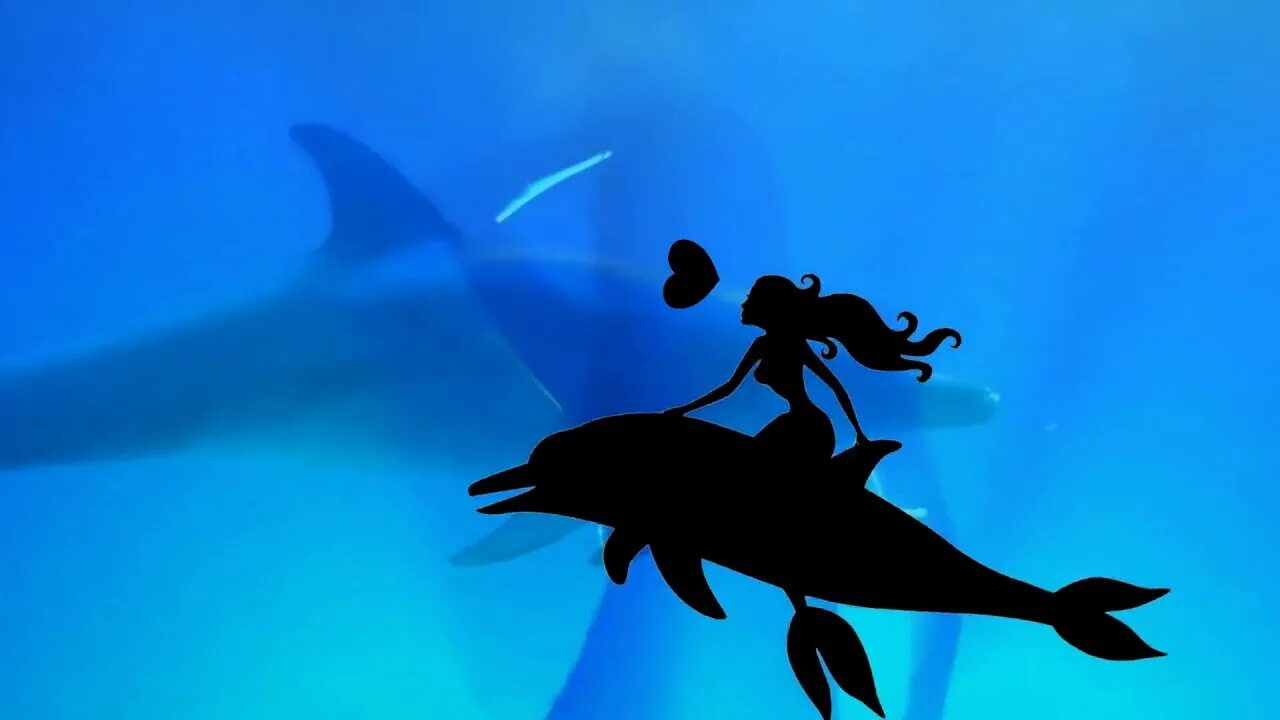 Дельфин и русалка игорь николаев и наташа королева. Наташа королёва и игорь николаев дельфин и русалка. Дельфин и русалка николаев и королева. Игорь николаев и королева дельфин и русалка. Дельфин и русалка николаев и королева.