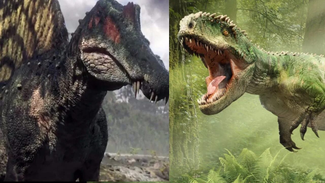 Тираннозавр и гигантозавр jurassic world. Тираннозавр и гигантозавр. Jurassic world evolution 2 giganotosaurus. Тираннозавр и гигантозавр. Тиранозавр спинозавр гигантозавр.