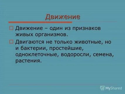 Понятие и определение движения