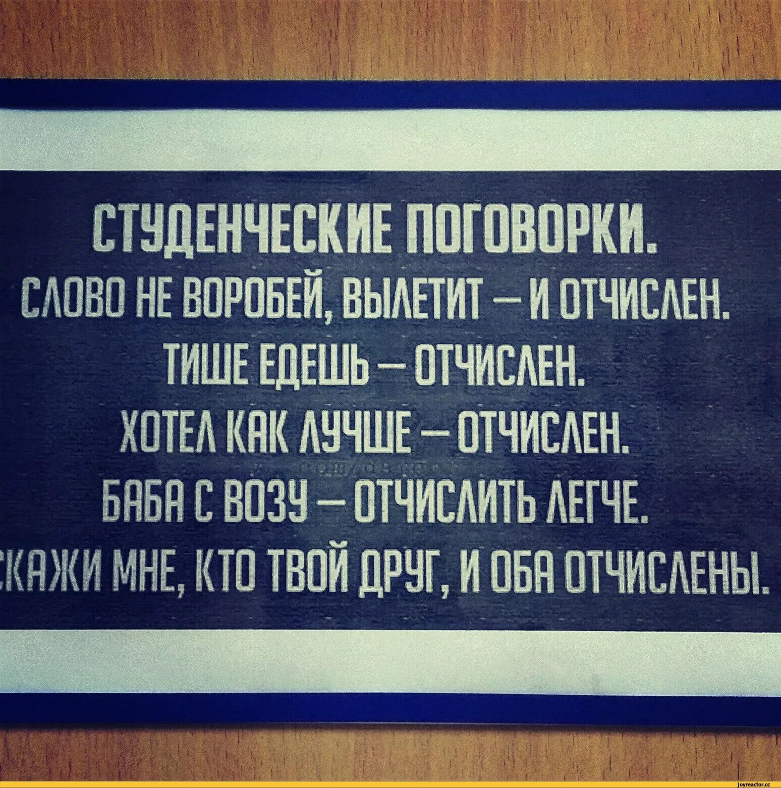 Смешные студенческие. Анекдоты про студентов. цитаты про студентов. смешные цитаты про студентов. студенческие поговорки.