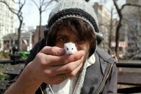 Your photo 1