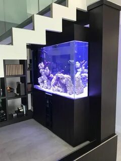 Вертикальный аквариум
