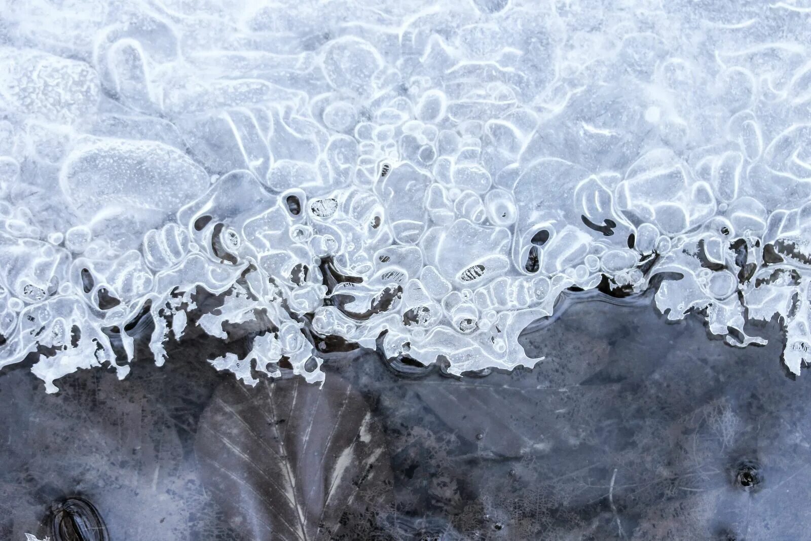 Замерзание воды. Замерзшая вода под микроскопом. Изображение замерзшей воды. Замерзание воды иллюстрация. Зимние метаморфозы с водой.