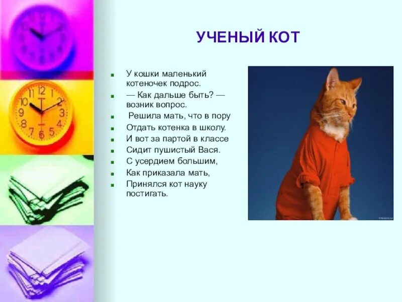 Кот б ответы. Научный кот. Стих у кошки маленький котеночек подрос. У кошки маленький котеночек подрос стих как дальше быть возник вопрос. Наука о котах.