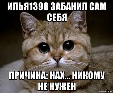 Забанил имя