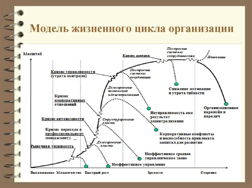 Стадия жизненного цикла развития предприятия. Жизненный цикл организации. Модели жизненного цикла организации.. Теории жизненного цикла организации (ЖЦО). Жизненный цикл организации Мильнер.