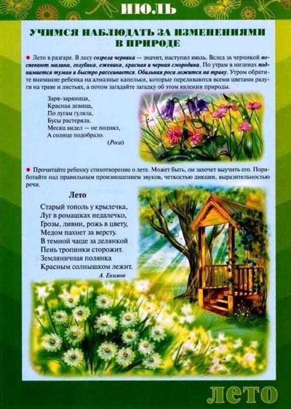Наблюдать изменении природы