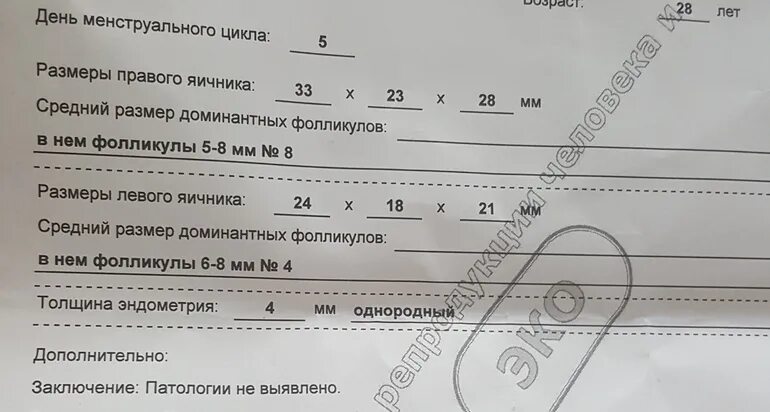 Максимальный размер фолликула. Размер фолликула по дням цикла. антральные фолликулы. размеры фолликулов в норме. коэффициент антральных фолликулов узи.