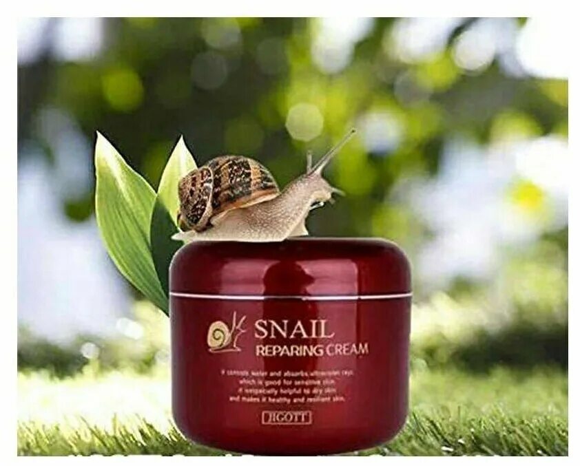 Муцин улитки 100. Jigott Snail repairing Cream. Snail repairing Cream Jigott 100ml. Корейский крем Snail repairing Cream. Крем для лица улиточный Snail repairing Cream 100ml (Jigott).