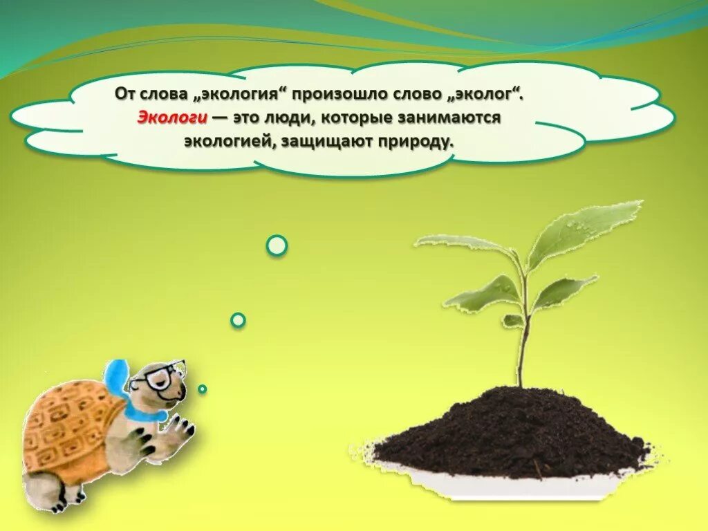 Эколог понятие для детей. Экология термин для детей. Как объяснить детям что такое экология. Слова про экологию для детей. Презентация экология 1 класс окружающий мир