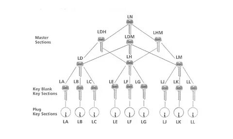 Key sections