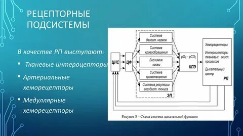 Функциональная подсистема примеры
