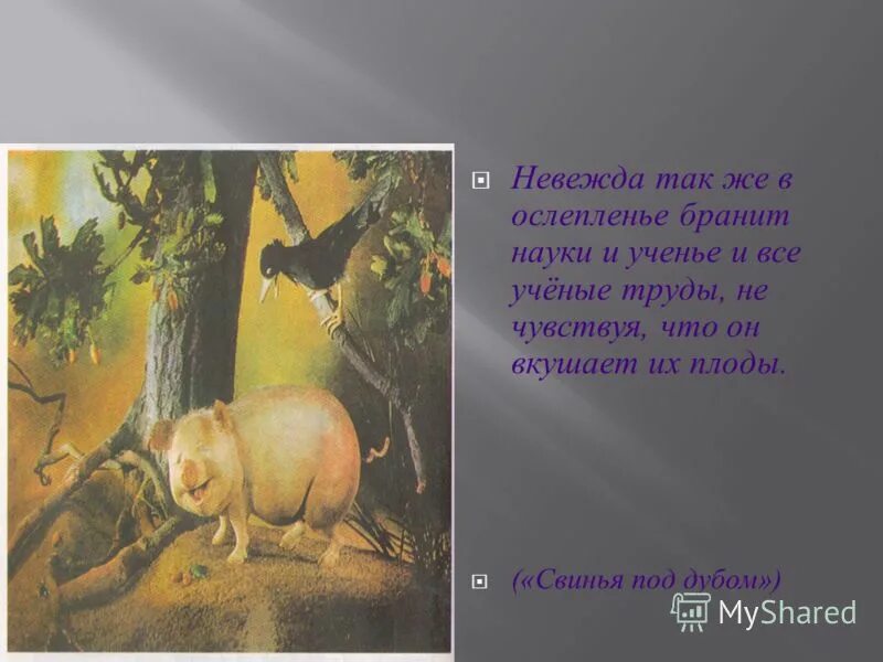 Иллюстрация к басне свинья под дубом. Басни крылова невежда также в ослепленье бранит науки и ученье. Мораль басни свинья под дубом. Когда в товарищах согласья нет. Невежда так и в ослепленье бранит науки и ученье.