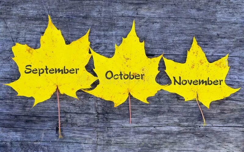 Фон для календаря октябрь. Hello november картинки. Обложка ноябрь. 1 ноября надпись. November is than september.
