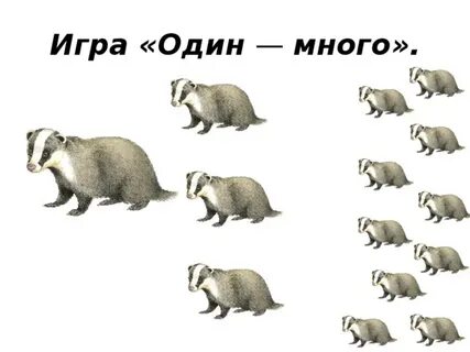 Игра один много не одного