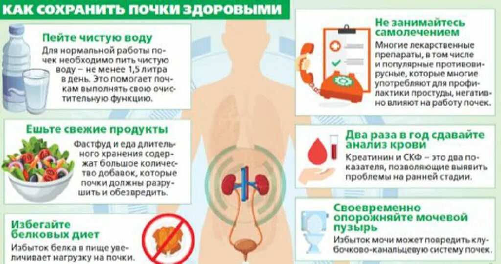 Профилактика заболеваний почек памятка. Профилактика болезни почек.мочекаменная болезнь. Профилактика почечной недостаточности памятка. Буклет профилактика болезней почек.