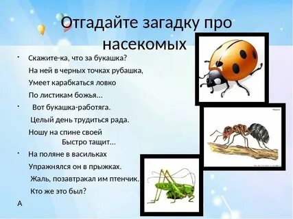 Насекомые отвечают на вопрос что