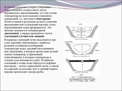 Почему летом верхние слои водоема