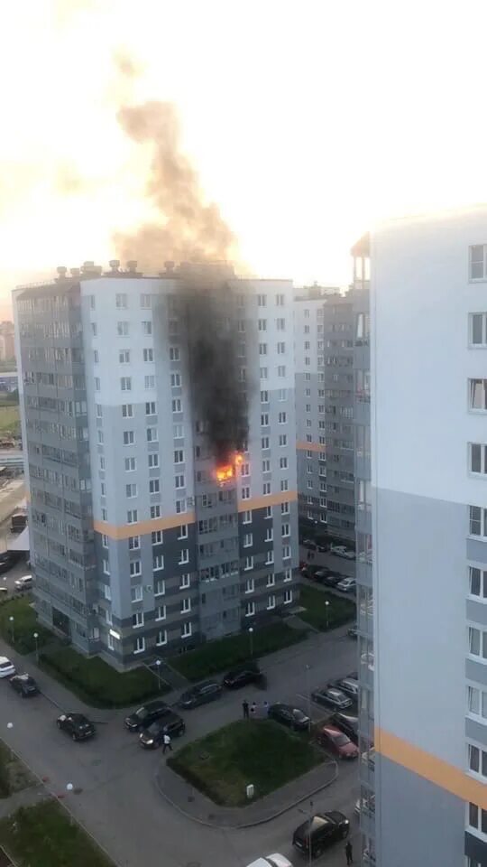 Что горит в горелово сейчас. Современников 15 Новогорелово. Пожар в Новогорелово. Пожар в Горелово сейчас. Пожар в Новогорелово сейчас.