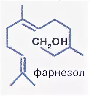 Фарнезол. Структурная формула фарнезола. Новосвит тальк жидкий от пота и запаха 50 мл фарнезол. Формула фарнезола. Новосвит тальк жидкий от пота и запаха 50 мл фарнезол.