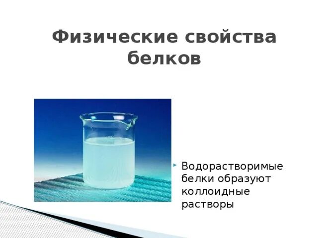 Свойства белковых растворов. Физические свойства белков. Физические свойства Белко. Физ свойства белков. Физические свойства белка.