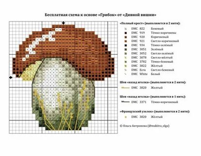 Грибок схема