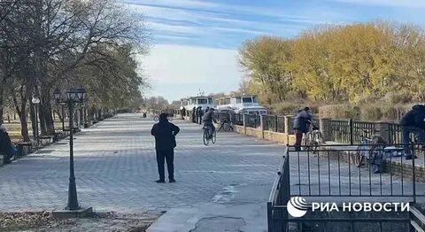 Видео алешки