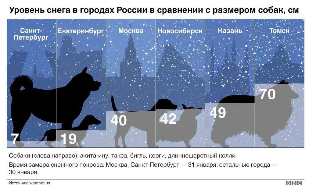 Дополнительная по сравнению. Снег размер. Сравнительные Размеры собак. Сравнительные Размеры городов. Сравнение размеров городов России.