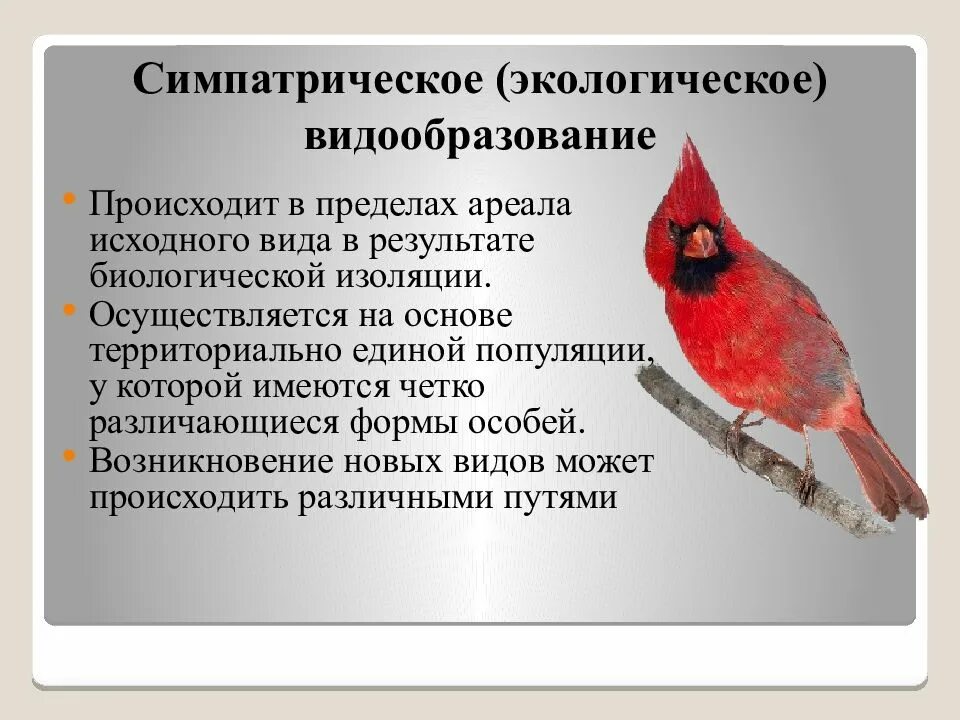 Изменение исходного ареала. Пути видообразования биология таблица. Симпатрическое (биологическое) видообразование. Причины видообразования способы видообразования расширение ареала. Изменение исходного ареала.
