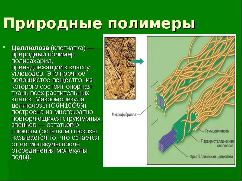 Целлюлоза какой полимер. Целлюлоза природный полимер. полимерная цепь целлюлозы. целлюлозное волокно. строение целлюлозного волокна.