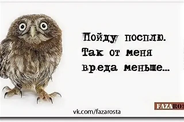 Так спи 1 2. Сова обиделась. пойду спать так от меня вреда меньше. иди спать сова. пойду посплю так от меня вреда меньше.