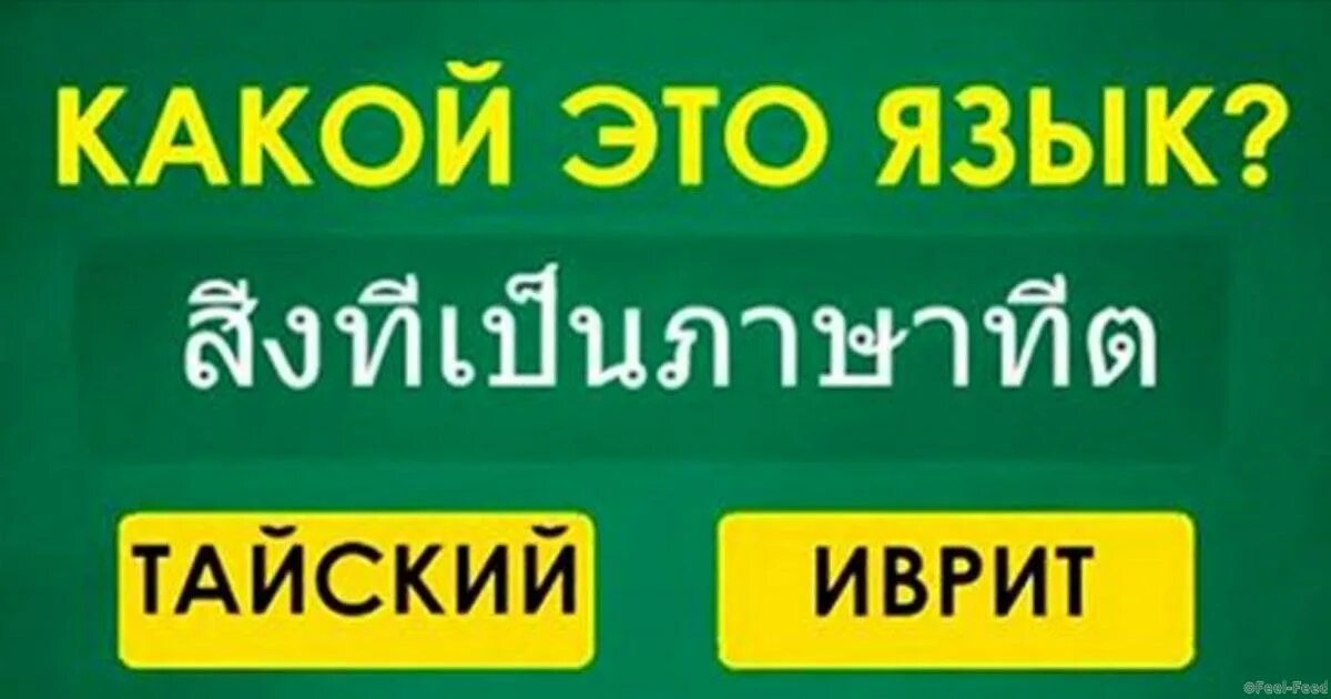 запусти навык wink. навык угадай язык. речь человека. навык угадай язык. запусти навык любовь.