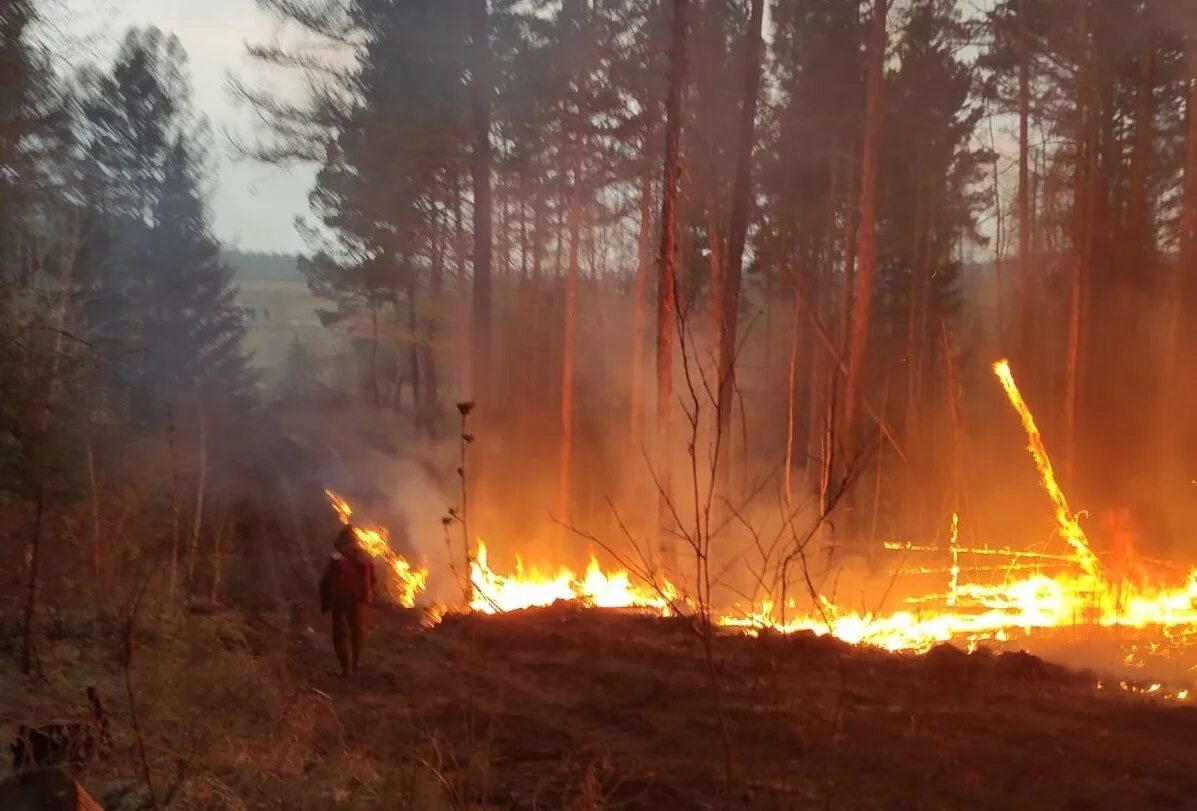 Лесные пожары красноярск. Пожары в Сибири 2022. Лесные пожары в Сибири 2019. Лесные пожары в Иркутской области. Лесные пожары в Иркутской области 2022.