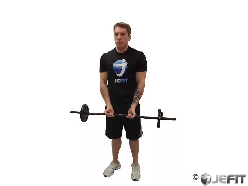 Close Grip ez Bar Curl. Reverse Barbell Curls. Cambered-Bar Preacher Curls. Ez Grip 360. Standing grip