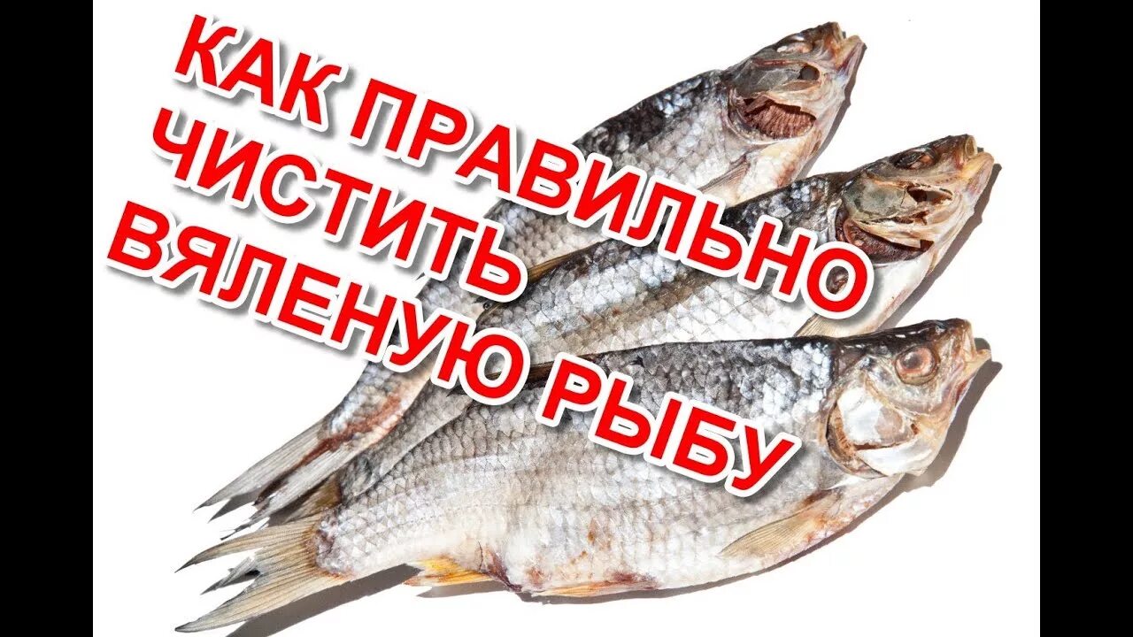 Как чистить вяленую. Очищенная вяленая рыба. чистка рыбы. чистка сушеной рыбы. как правильно чистить сушеную рыбу.