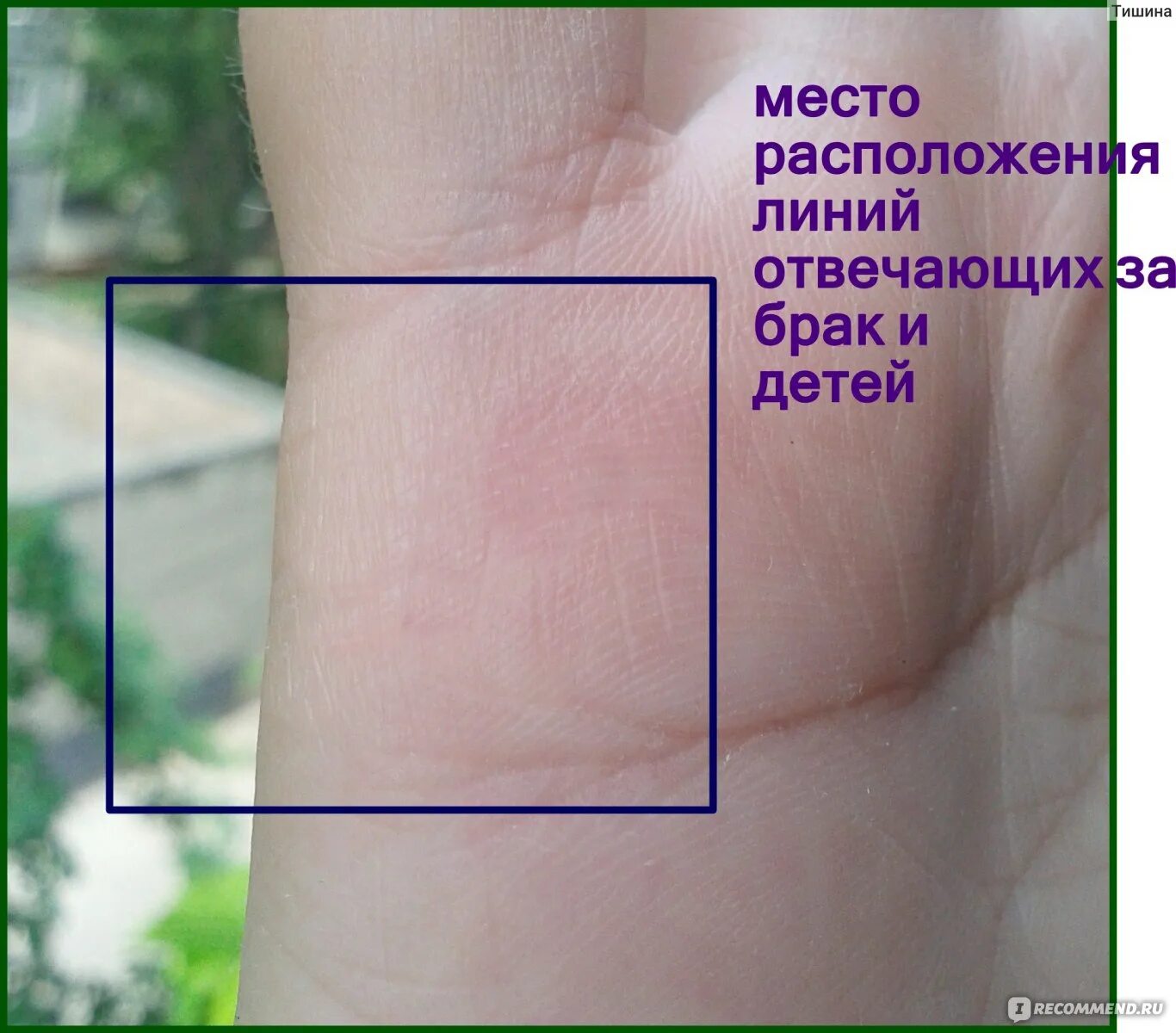 Как определить по руке сколько детей. Линия брака. хиромантия линия брака и детей.