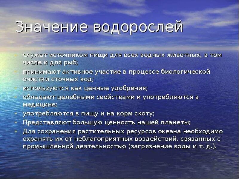 Сообщение о значении водорослей