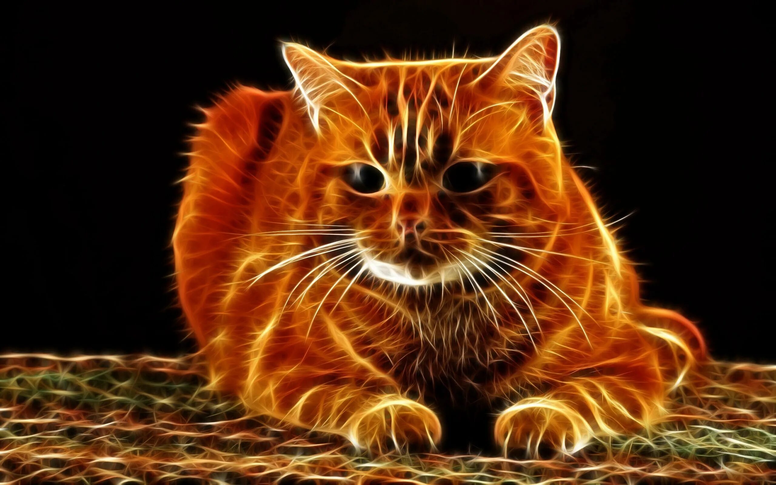 Фон рыжий кот. Рыжий кот. огненно рыжий кот. огненная кошка. огненный котенок.