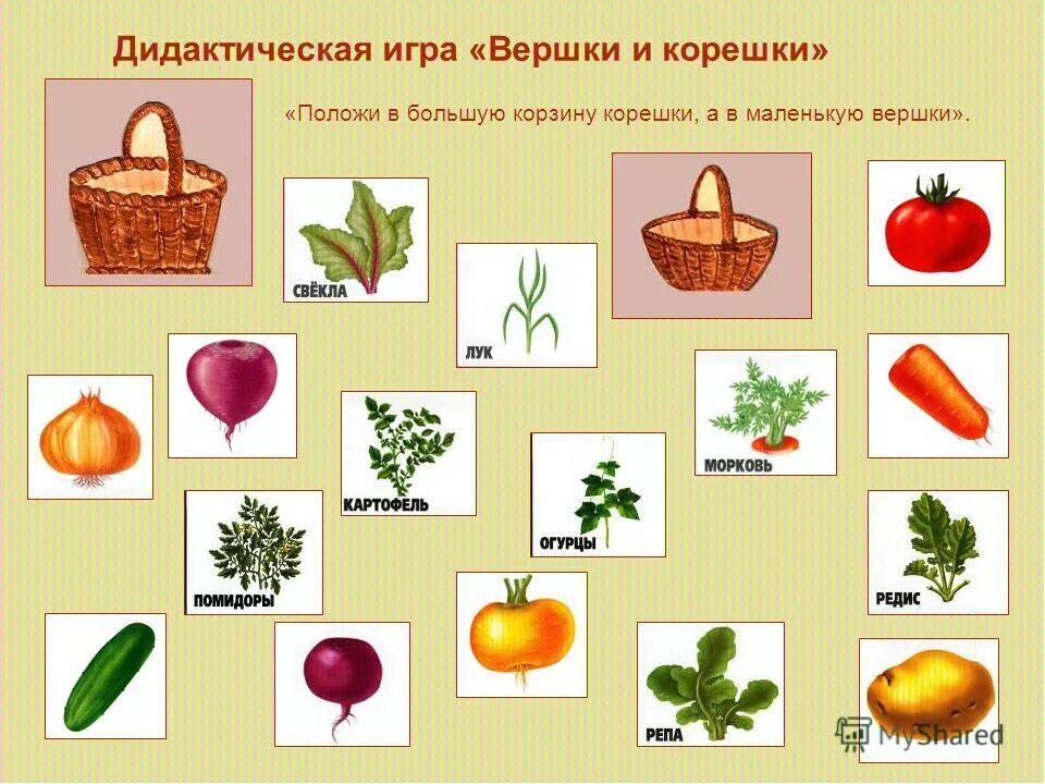 Игры по окружающему миру младшая группа