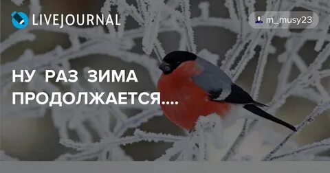 Зима была раз в году