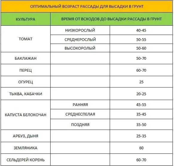 Какого числа нужно садить перец